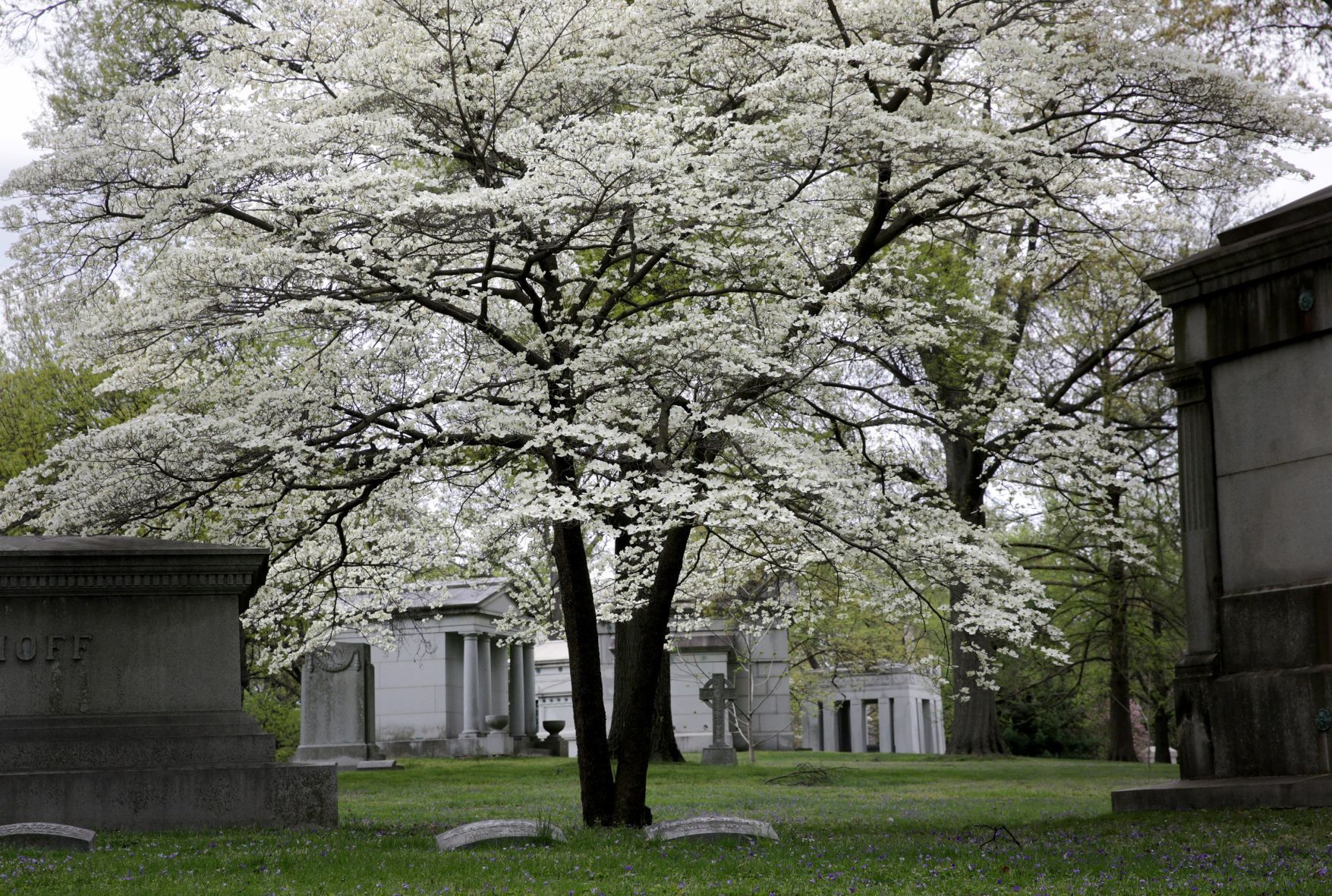 Spring at Bellefontaine Cemetery and Arboretum